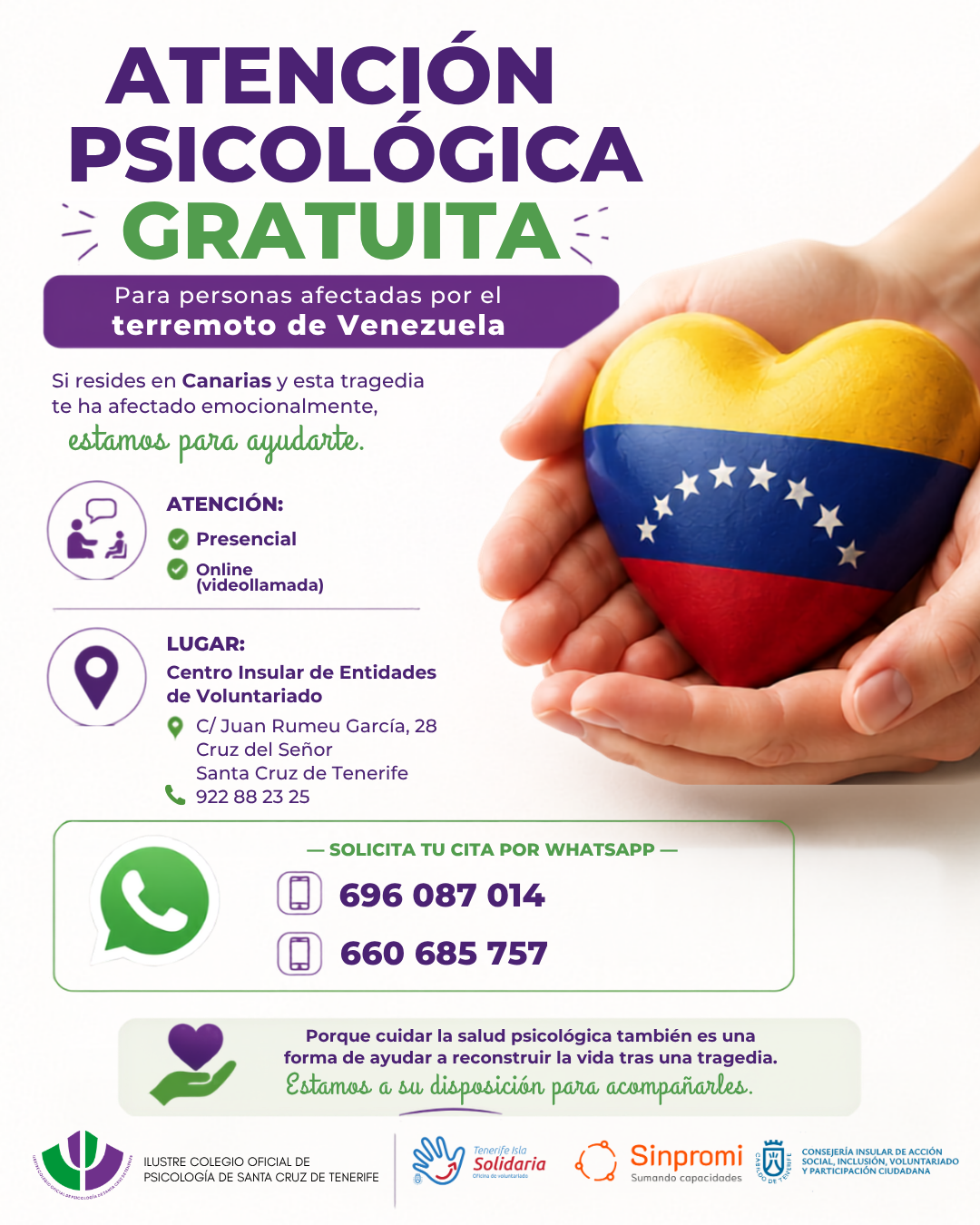 Imagen Noticia